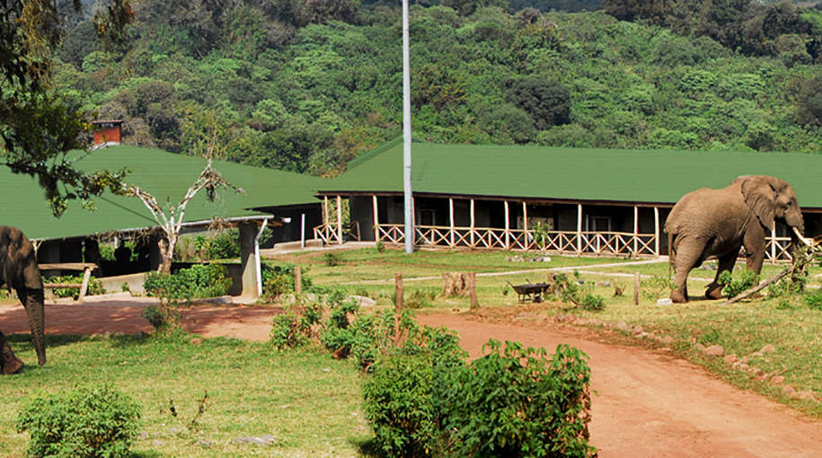 Ngoro Ngoro Rhino Lodge