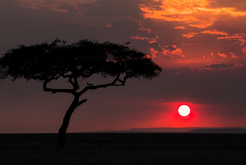 Sundowner in Masai Mara